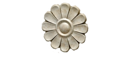 Apadana